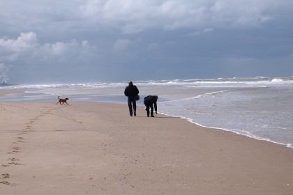 Plaża w Ustce bardziej przyjazna psom! :)