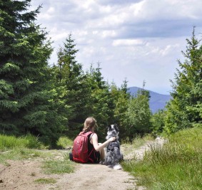Z psem w górach – jak się przygotować i co warto zabrać na szlak?