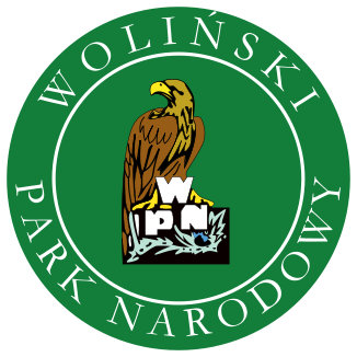 wolinski