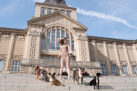 Kundelki ze schroniska pozują u boku modelki – najnowsza kampania “Pies z second handu” KMX Fashion zachwyca!