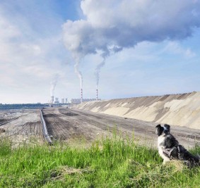 Taras widokowy Kopalni Bełchatów i Elektrowni w Kleszczowie – zwiedzaj z psem