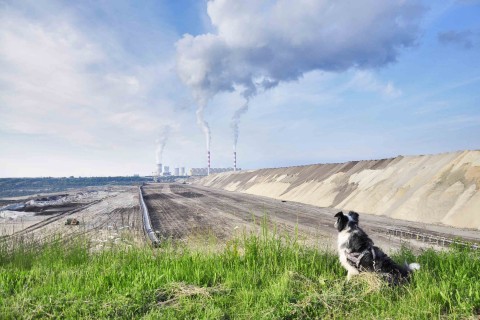 Taras widokowy Kopalni Bełchatów i Elektrowni w Kleszczowie – zwiedzaj z psem